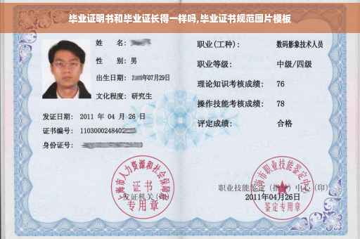 毕业证明书和毕业证长得一样吗,毕业证书规范图片模板