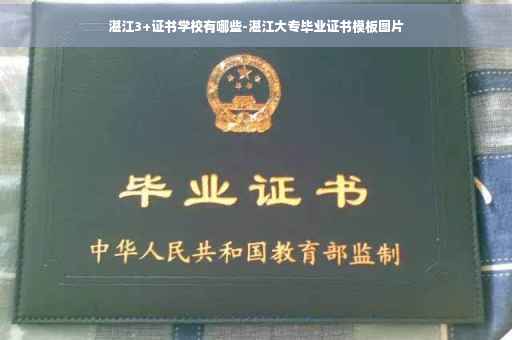 湛江3+证书学校有哪些-湛江大专毕业证书模板图片