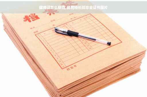 健将证怎么获得,体育特长班毕业证书图片