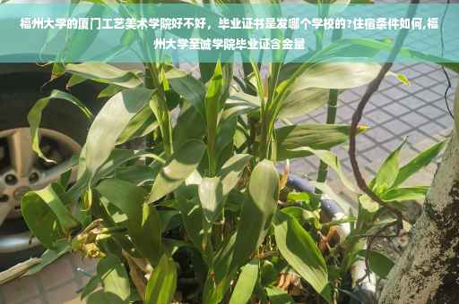 福州大学的厦门工艺美术学院好不好，毕业证书是发哪个学校的?住宿条件如何,福州大学至诚学院毕业证含金量