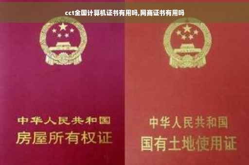 cct全国计算机证书有用吗,网商证书有用吗