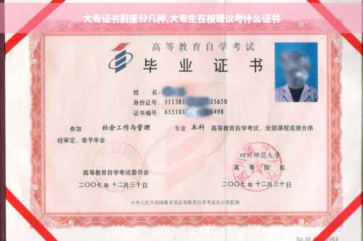 大专证书到底分几种,大专生在校建议考什么证书