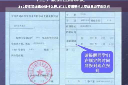 3+2专本贯通毕业证什么样,3➕2大专跟统招大专毕业证字面区别