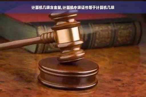 计算机几级含金量,计算机中级证书等于计算机几级