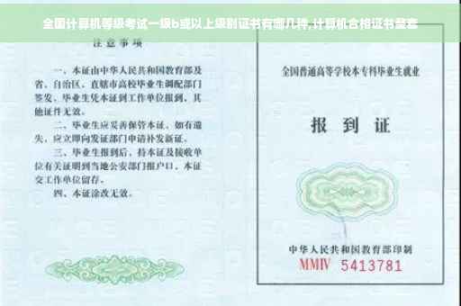 全国计算机等级考试一级b或以上级别证书有哪几种,计算机合格证书整套 全国计算机等级考试一级b或以上级别证书有哪几种,计算机合格证书整套