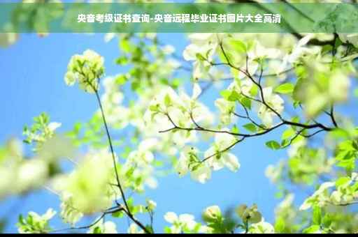 央音考级证书查询-央音远程毕业证书图片大全高清