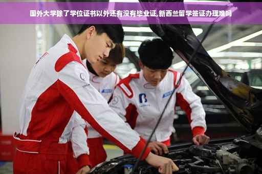 国外大学除了学位证书以外还有没有毕业证,新西兰留学签证办理难吗