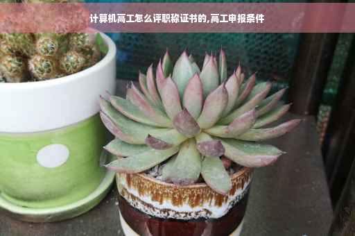 计算机高工怎么评职称证书的,高工申报条件
