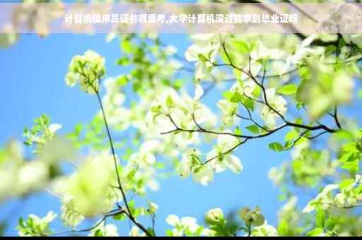 计算机程序员证书哪里考,大学计算机没过能拿到毕业证吗 计算机程序员证书哪里考,大学计算机没过能拿到毕业证吗