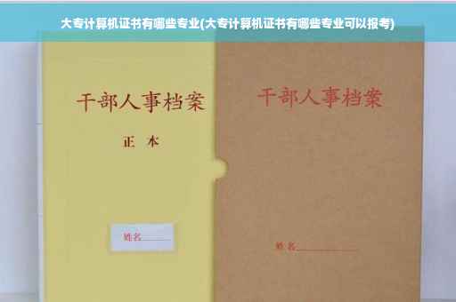 大专计算机证书有哪些专业(大专计算机证书有哪些专业可以报考)