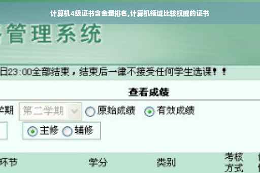 计算机4级证书含金量排名,计算机领域比较权威的证书
