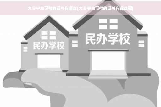 大专学生可考的证书有哪些(大专学生可考的证书有哪些呢)