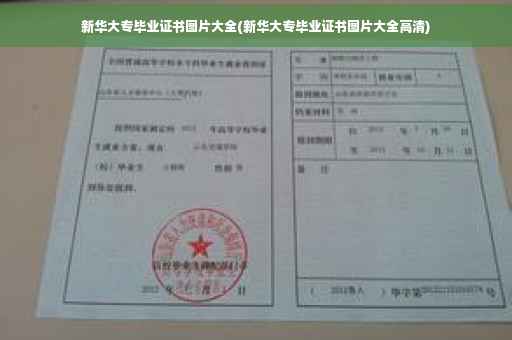 新华大专毕业证书图片大全(新华大专毕业证书图片大全高清)