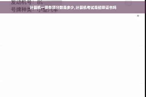 计算机一级各项分数是多少,计算机考试是初级证书吗