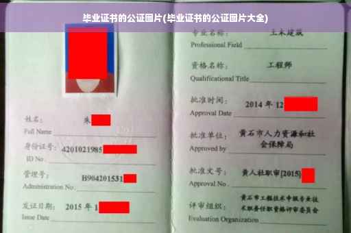 毕业证书的公证图片(毕业证书的公证图片大全)