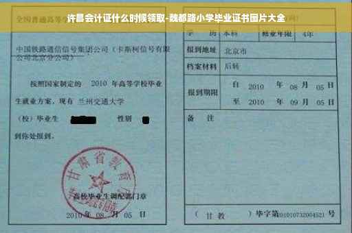 许昌会计证什么时候领取-魏都路小学毕业证书图片大全