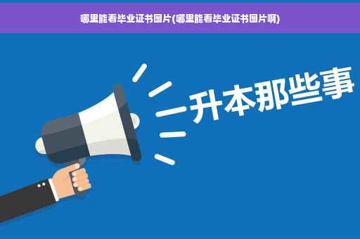 哪里能看毕业证书图片(哪里能看毕业证书图片啊) 哪里能看毕业证书图片(哪里能看毕业证书图片啊)