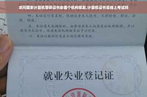 求问国家计算机等级证书由哪个机构颁发,计算机证书是线上考试吗