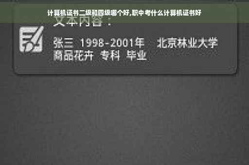 计算机证书二级和四级哪个好,职中考什么计算机证书好