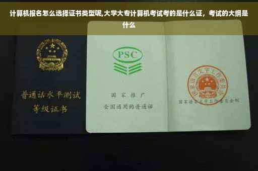 计算机报名怎么选择证书类型呢,大学大专计算机考试考的是什么证，考试的大纲是什么