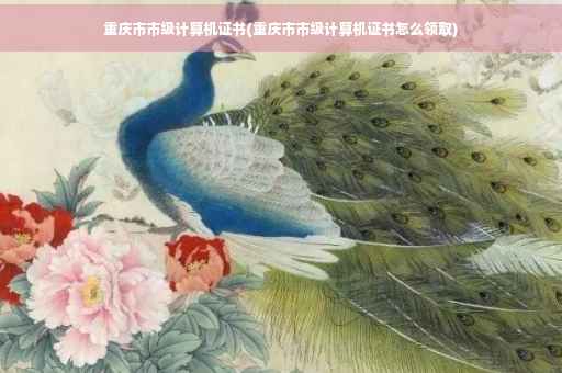 重庆市市级计算机证书(重庆市市级计算机证书怎么领取)