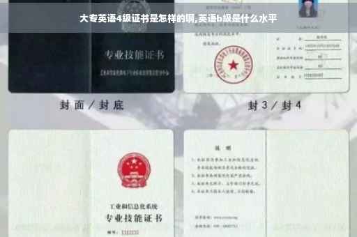 大专英语4级证书是怎样的啊,英语b级是什么水平