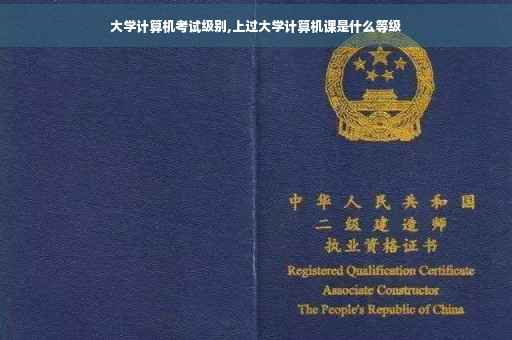 大学计算机考试级别,上过大学计算机课是什么等级