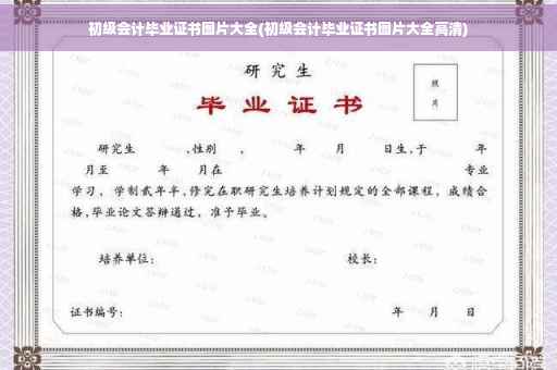初级会计毕业证书图片大全(初级会计毕业证书图片大全高清)