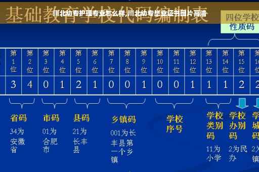 川北幼专护理专业怎么样,川北幼专毕业证书图片高清