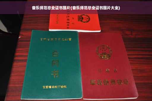 音乐师范毕业证书图片(音乐师范毕业证书图片大全)