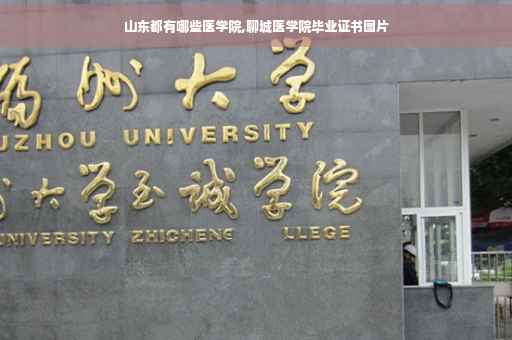 山东都有哪些医学院,聊城医学院毕业证书图片