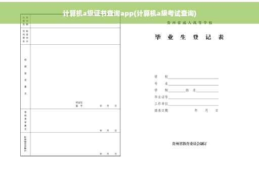 计算机a级证书查询app(计算机a级考试查询)