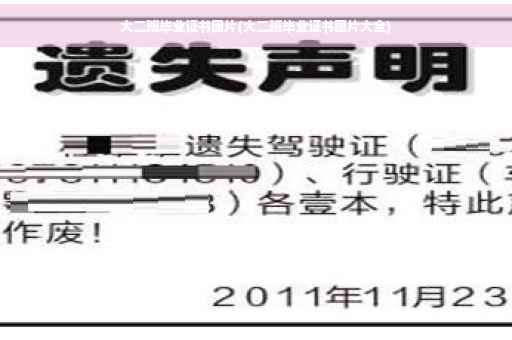大二班毕业证书图片(大二班毕业证书图片大全)