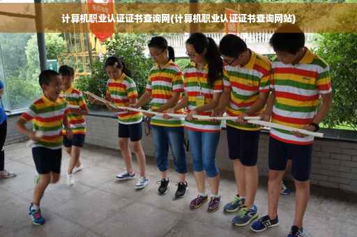 计算机职业认证证书查询网(计算机职业认证证书查询网站)