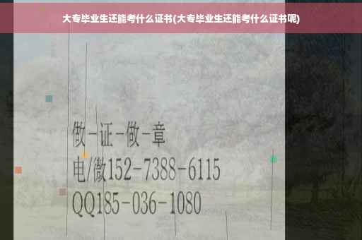 大专毕业生还能考什么证书(大专毕业生还能考什么证书呢)