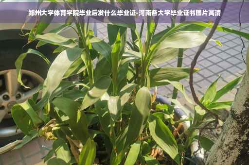 郑州大学体育学院毕业后发什么毕业证-河南各大学毕业证书图片高清