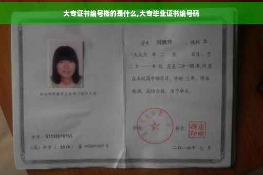 大专证书编号指的是什么,大专毕业证书编号码