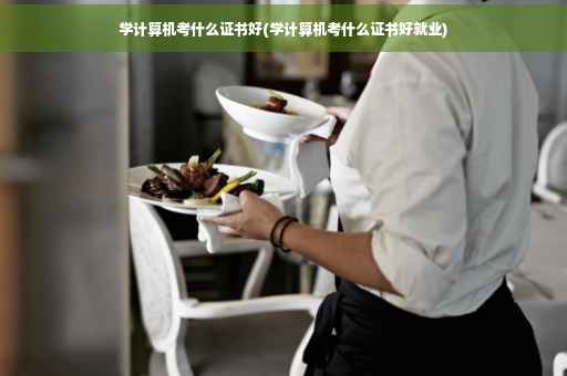 学计算机考什么证书好(学计算机考什么证书好就业)