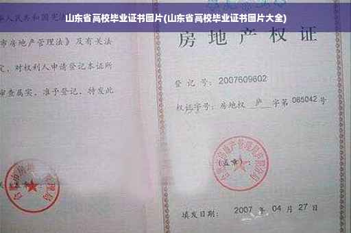 山东省高校毕业证书图片(山东省高校毕业证书图片大全)