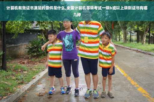 计算机有效证书满足的条件是什么,全国计算机等级考试一级b或以上级别证书有哪几种