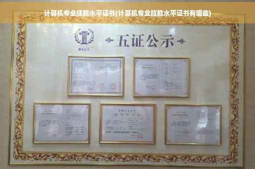 计算机专业技能水平证书(计算机专业技能水平证书有哪些)