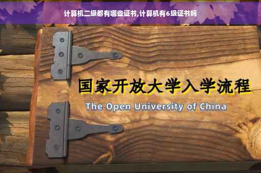 计算机二级都有哪些证书,计算机有6级证书吗