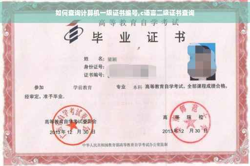 如何查询计算机一级证书编号,c语言二级证书查询