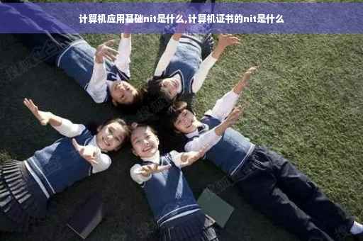计算机应用基础nit是什么,计算机证书的nit是什么