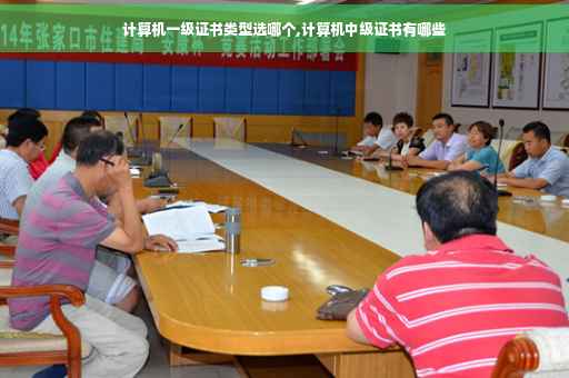 计算机一级证书类型选哪个,计算机中级证书有哪些
