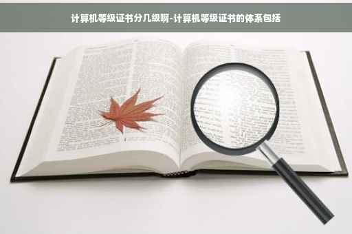计算机等级证书分几级啊-计算机等级证书的体系包括