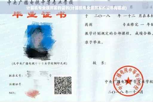 计算机专业很厉害的证书(计算机专业很厉害的证书有哪些)