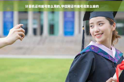 计算机证书编号怎么用的,学信网证书编号是怎么编的