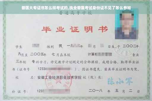 兽医大专证书怎么样考试的,执业兽医考试身份证不见了怎么参加