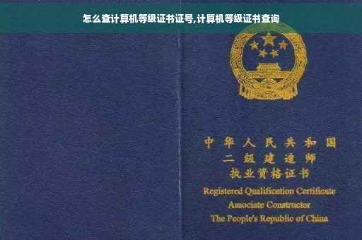 怎么查计算机等级证书证号,计算机等级证书查询
